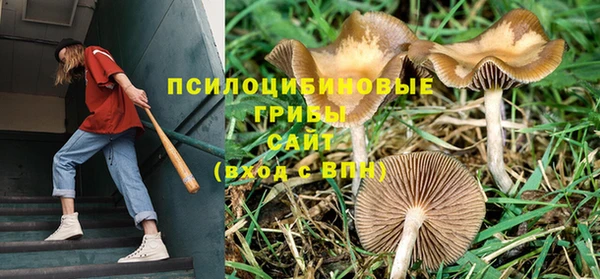 мяу мяу мука Переславль-Залесский