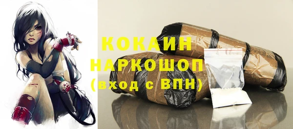 гашик Белоозёрский