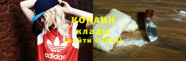 гидра Белокуриха