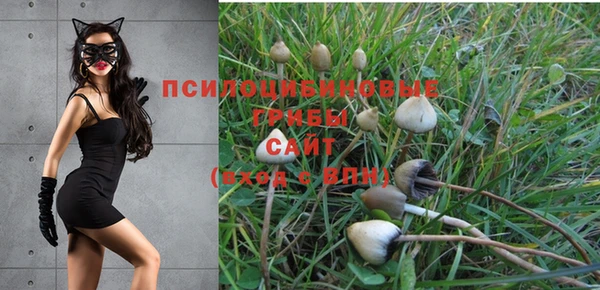 круглые Пестово