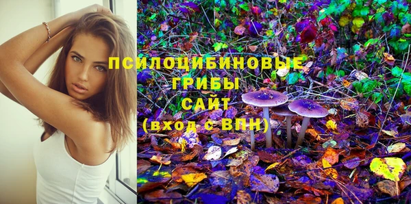 гашик Белоозёрский
