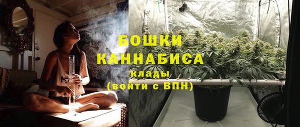 гашик Белоозёрский