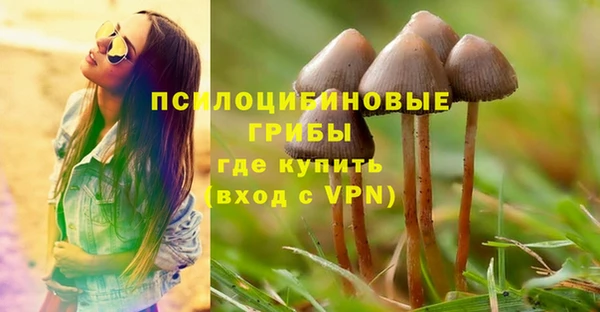 гидра Белокуриха